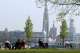 scheldewandeling foto